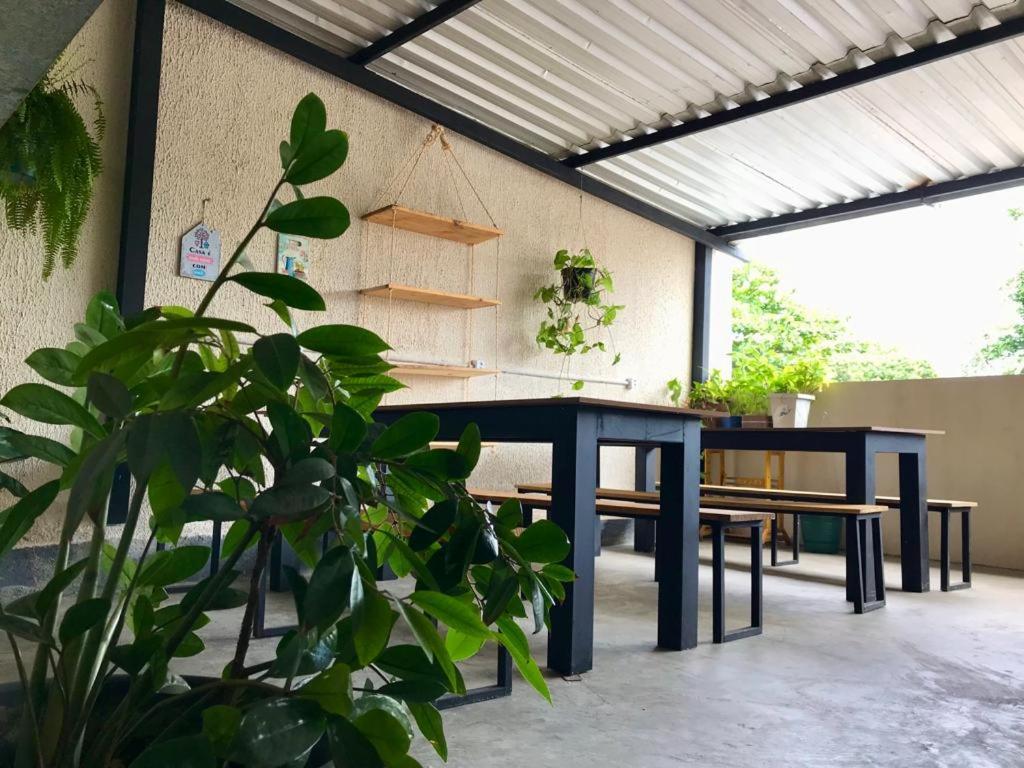 Hostel Freeway บราซิเลีย ภายนอก รูปภาพ