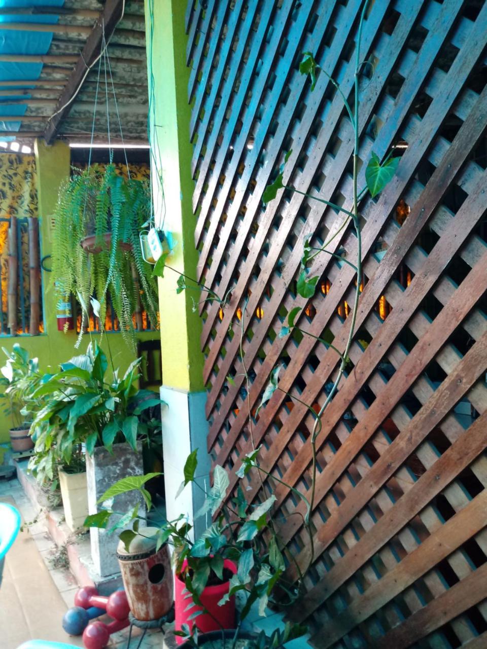 Hostel Freeway บราซิเลีย ภายนอก รูปภาพ